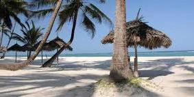 10-Day December in the Maasai Mara & New Year in Diani