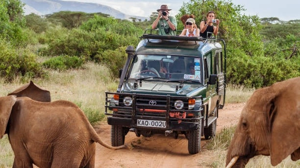 8-Day Friends & Small Group December Safari