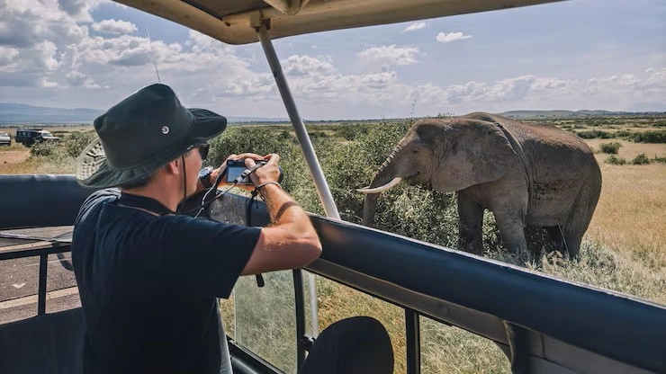 Solo Traveller December Safari