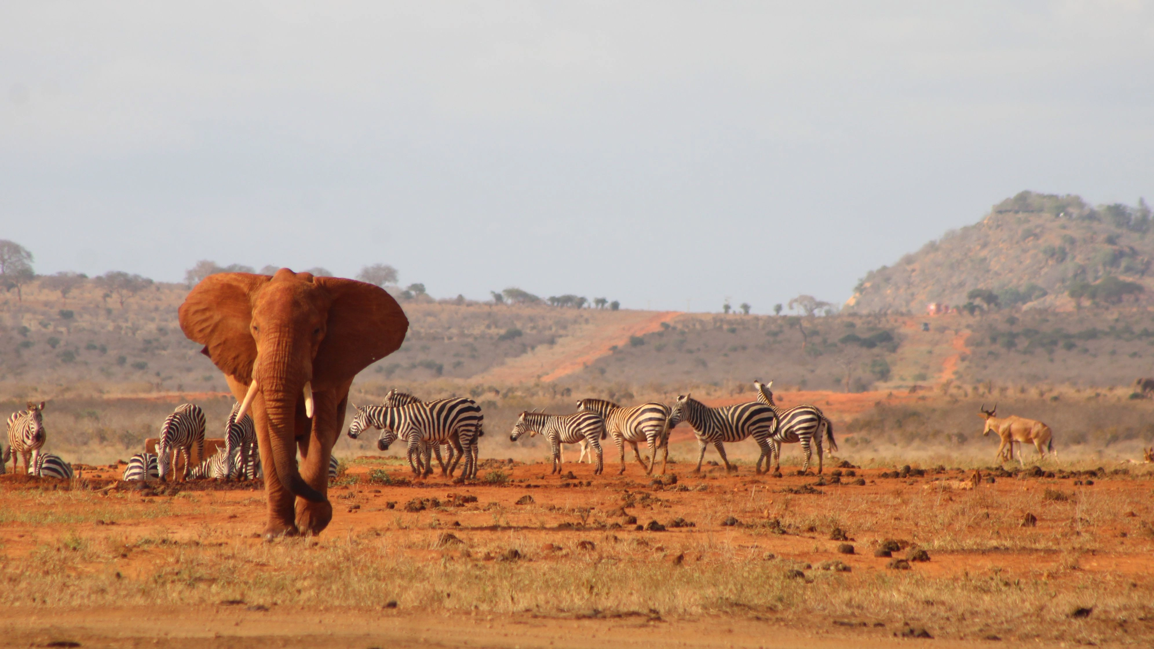 December Group-Joining 6-Day Kenya Safari