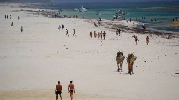 5-Day Luxury Masai Mara & Diani Beach Romantic Getaway