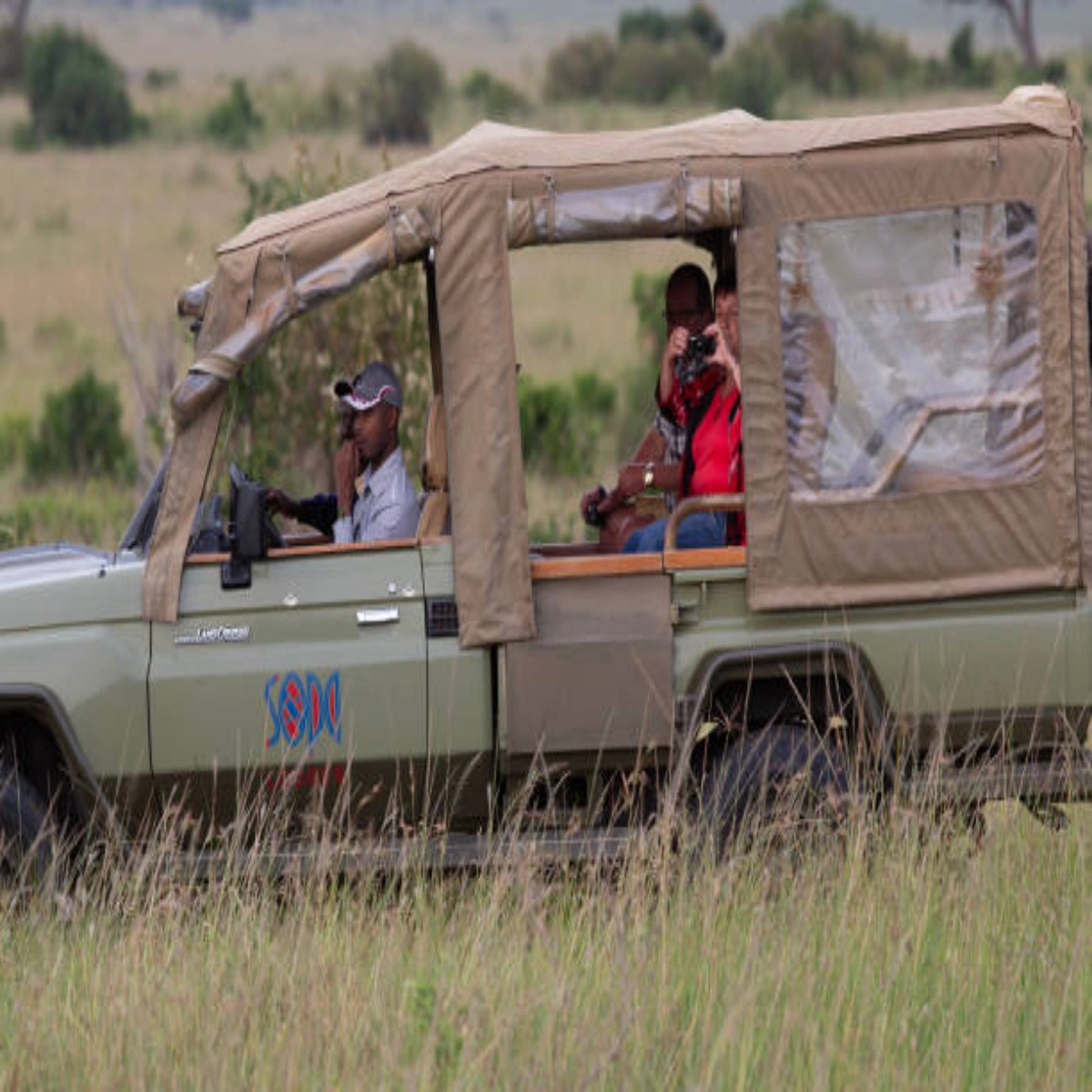 8-Day Senior December Comfort Safari