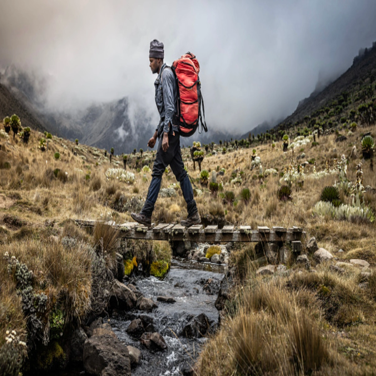 6-Day Mount Kenya Climbing Tour Package