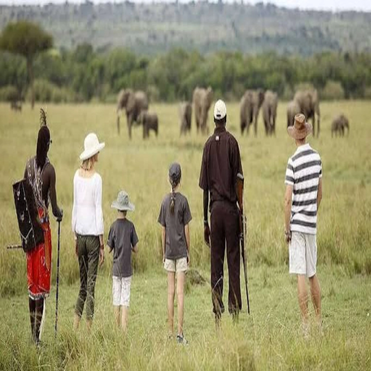 7-Day Luxury Fly-in Honeymoon Safari in Kenya