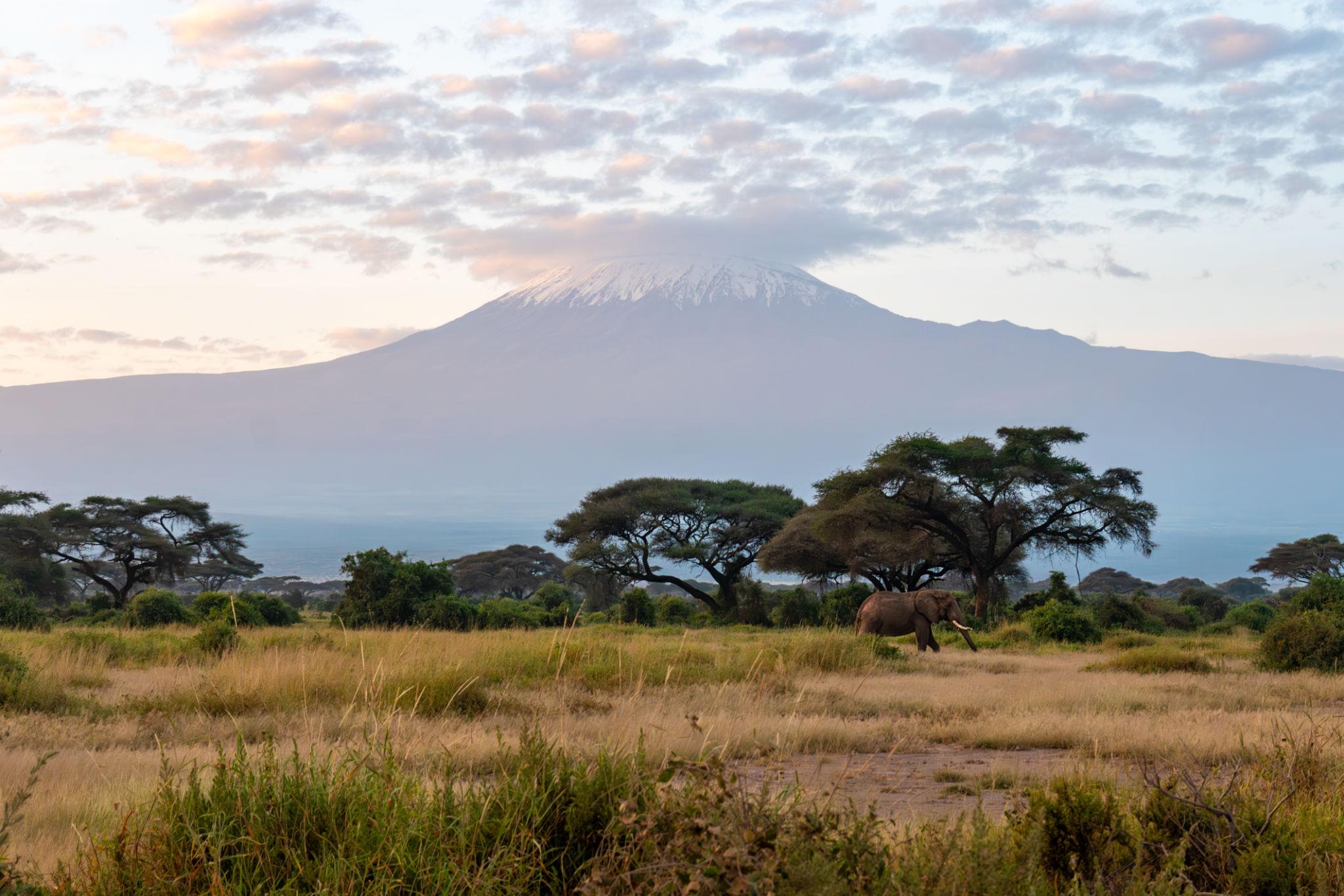 Clear morning view of Mount Kilimanjaro before cloud formation begins later in the day