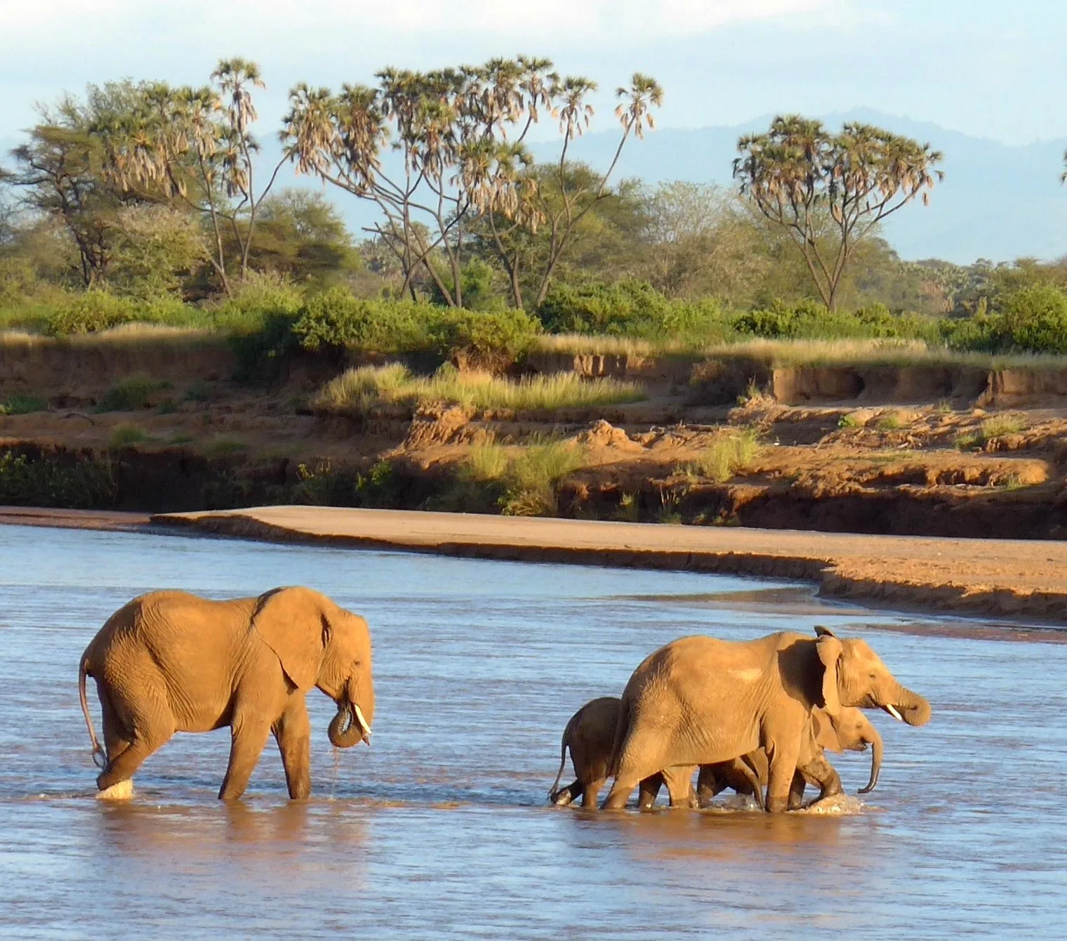 Nairobi to Samburu Drive: UK Realistic Guide