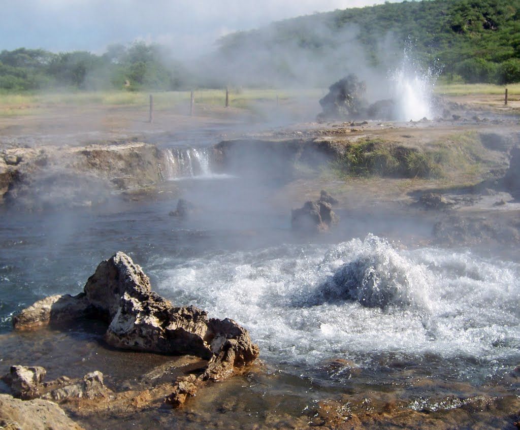 Geothermal hot springs and geysers along the shore of Lake Bogoria