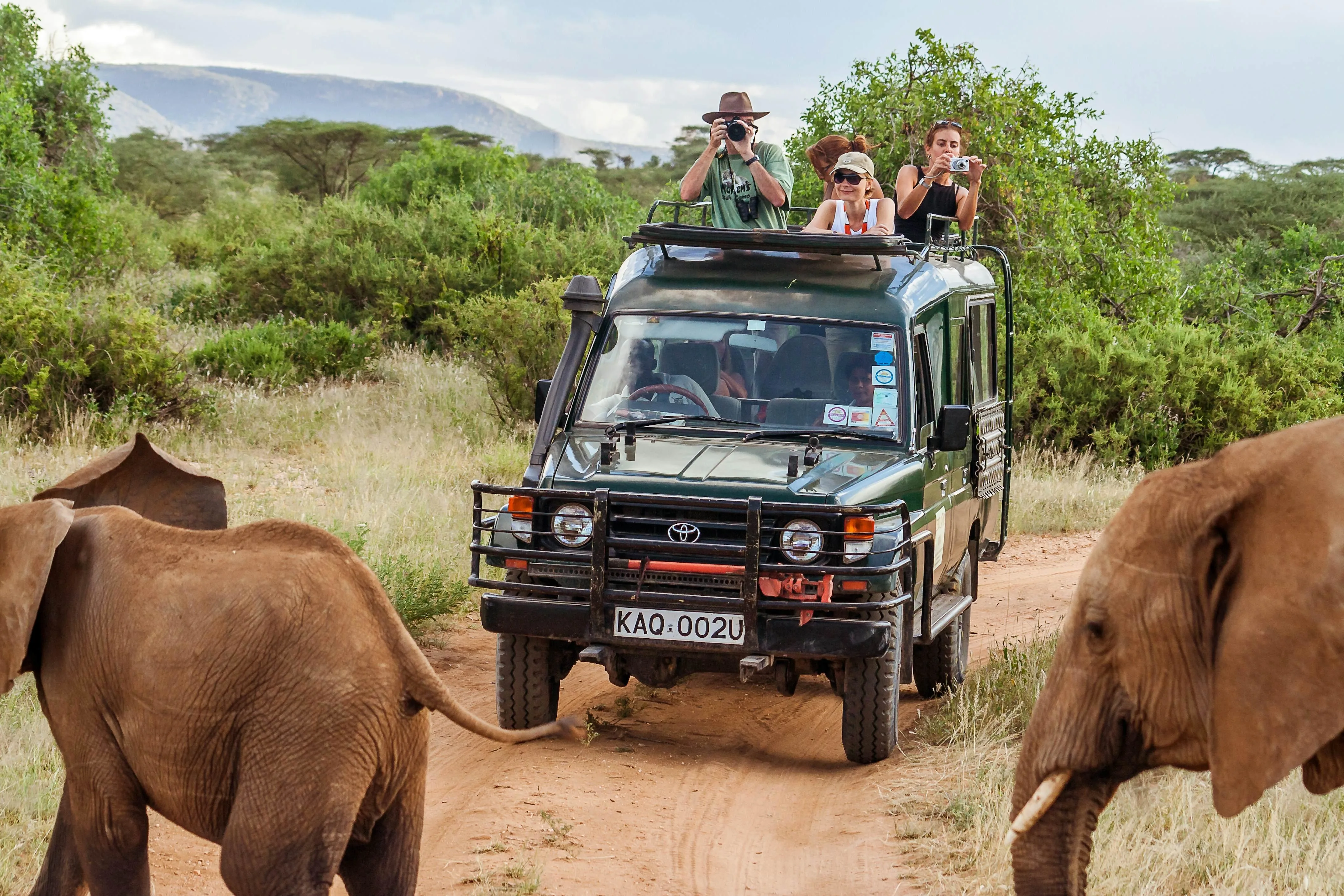4x4 Land Cruiser viewing elephants during a Kenya safari