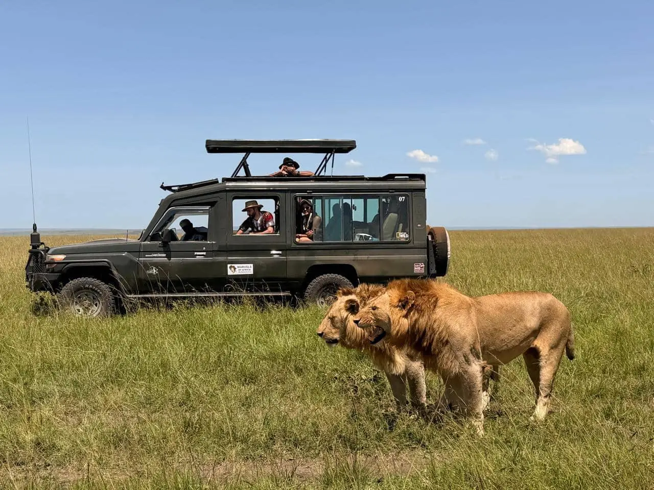 Group Joining Safari For Solo Travellers: No Supplements