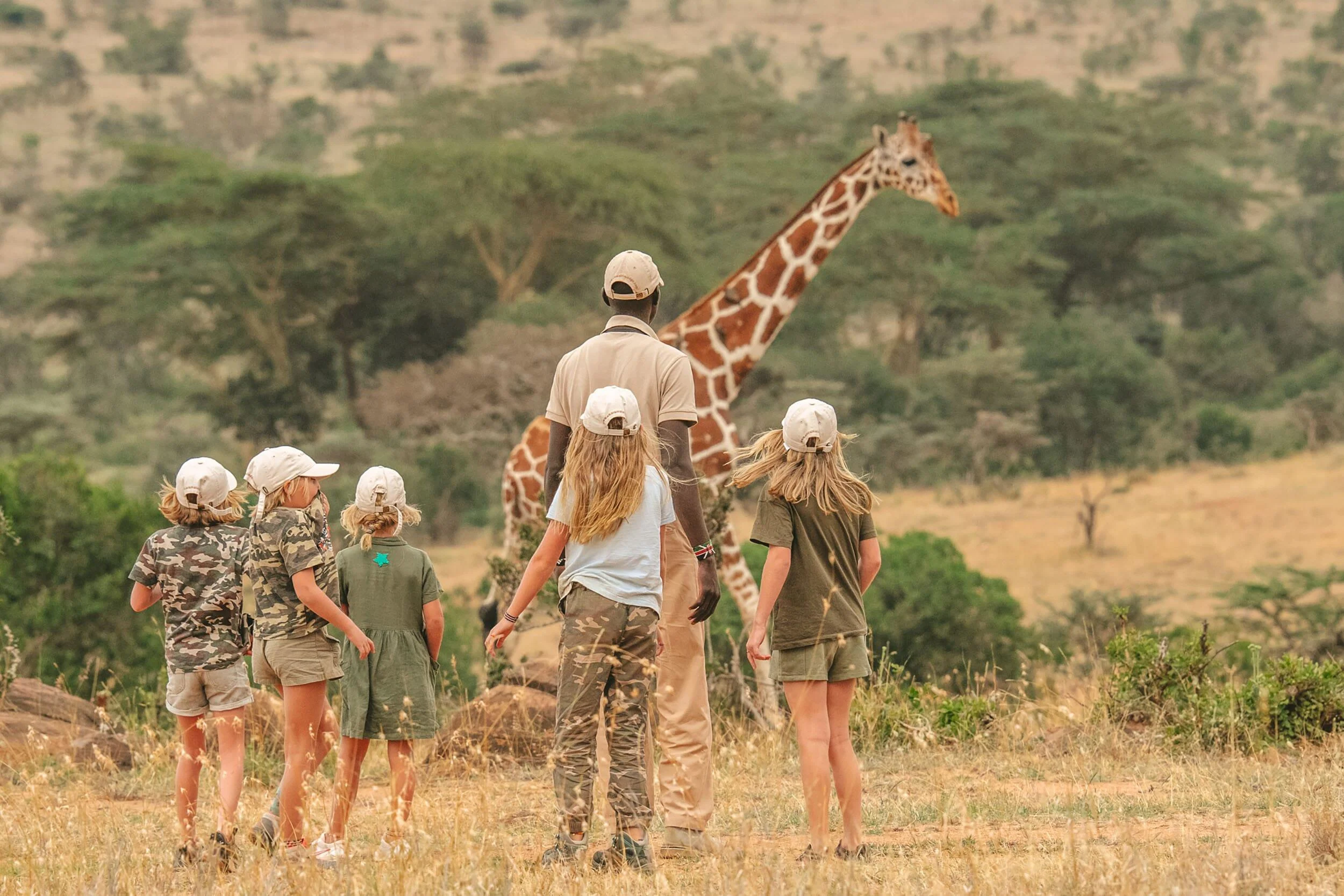 July Safari Budget to Kenya: Travel, Cost & Weather Guide