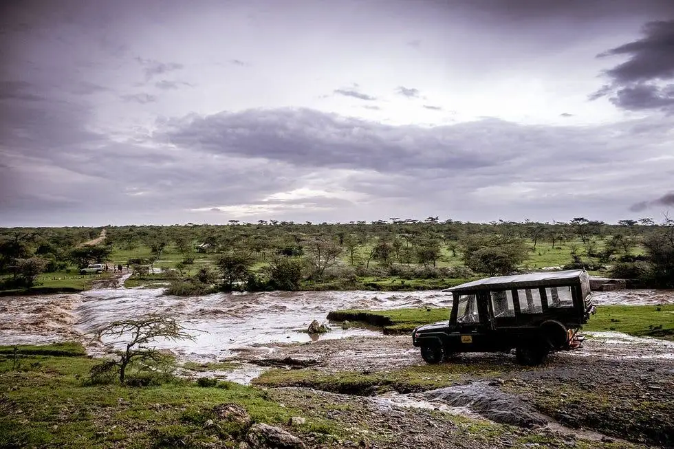 Kenya Green Season safari in the Maasai Mara during the rainy season
