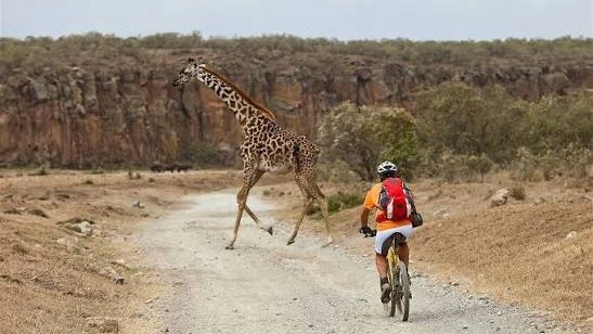Kenya Guided Cycling Safari Costs in Hell's Gate for UK