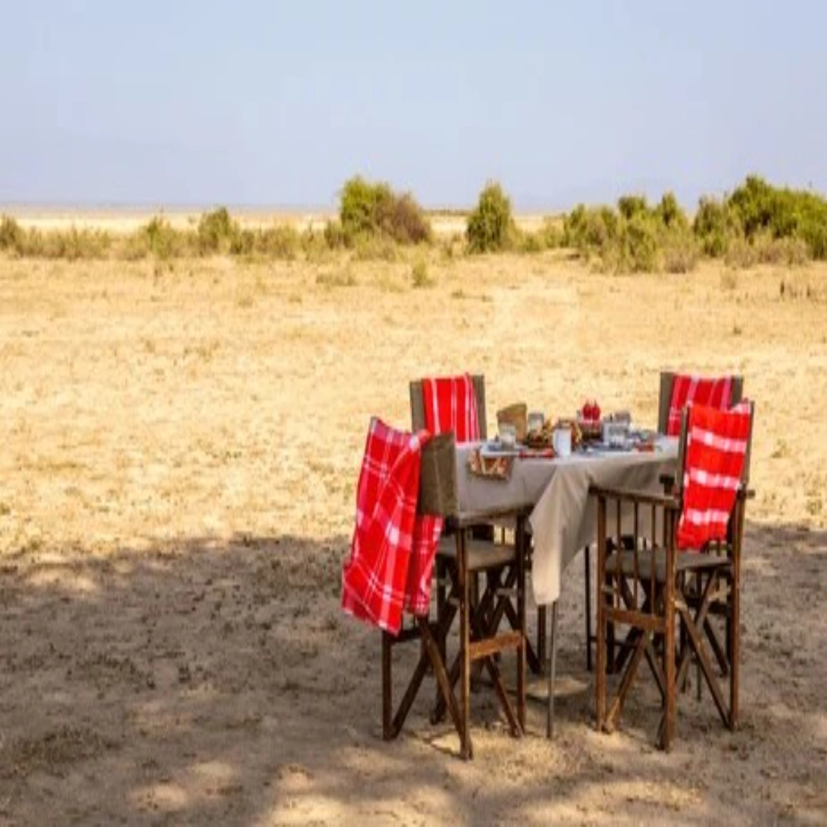Luxury outdoor bush dining setup with champagne and fresh gourmet dishes overlooking the savanna.