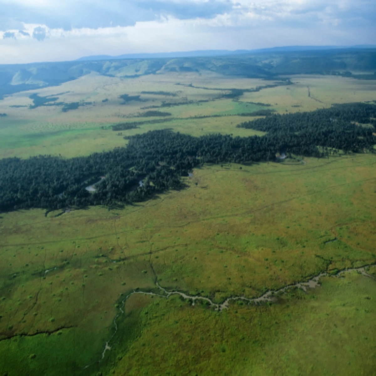 Is Masai Mara Safari in December Worth it? What To Expect