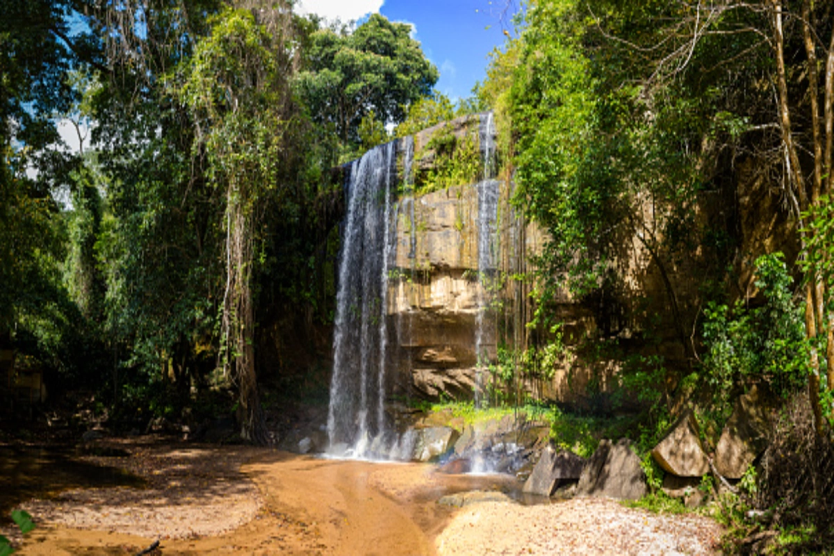 A 4x4 open-roof safari vehicle navigating the lush green landscape of Shimba Hills National Reserve during a day trip from Diani
