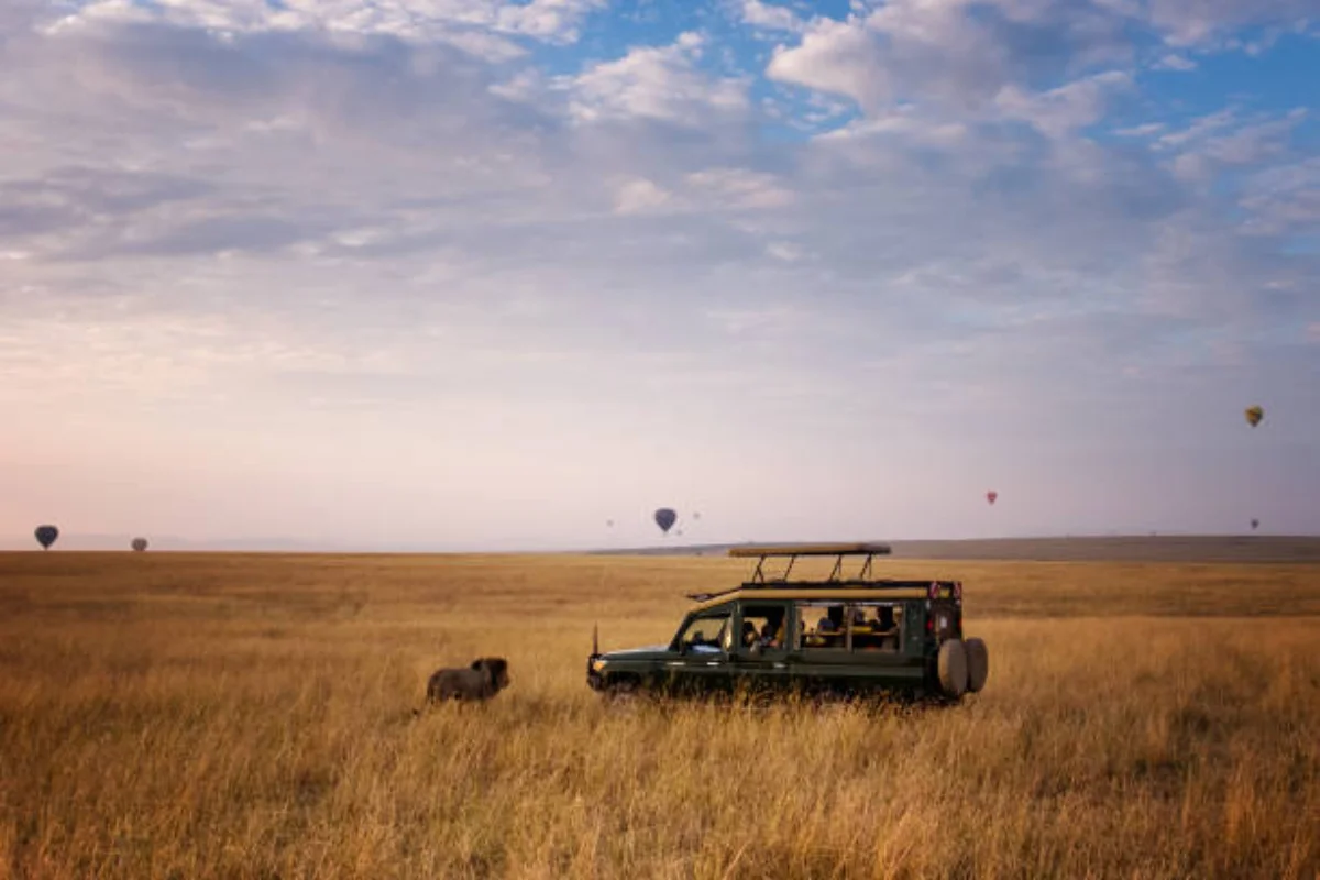 Customized 4x4 safari Land Cruiser with raised pop-up roof navigating tracks in the Masai Mara Kenya