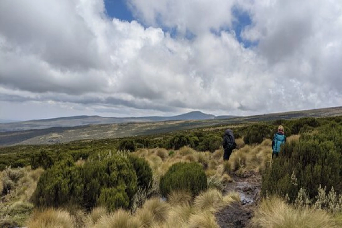 Mount Kenya hike: 3-Day vs 6-Day Kenya Safari Tour