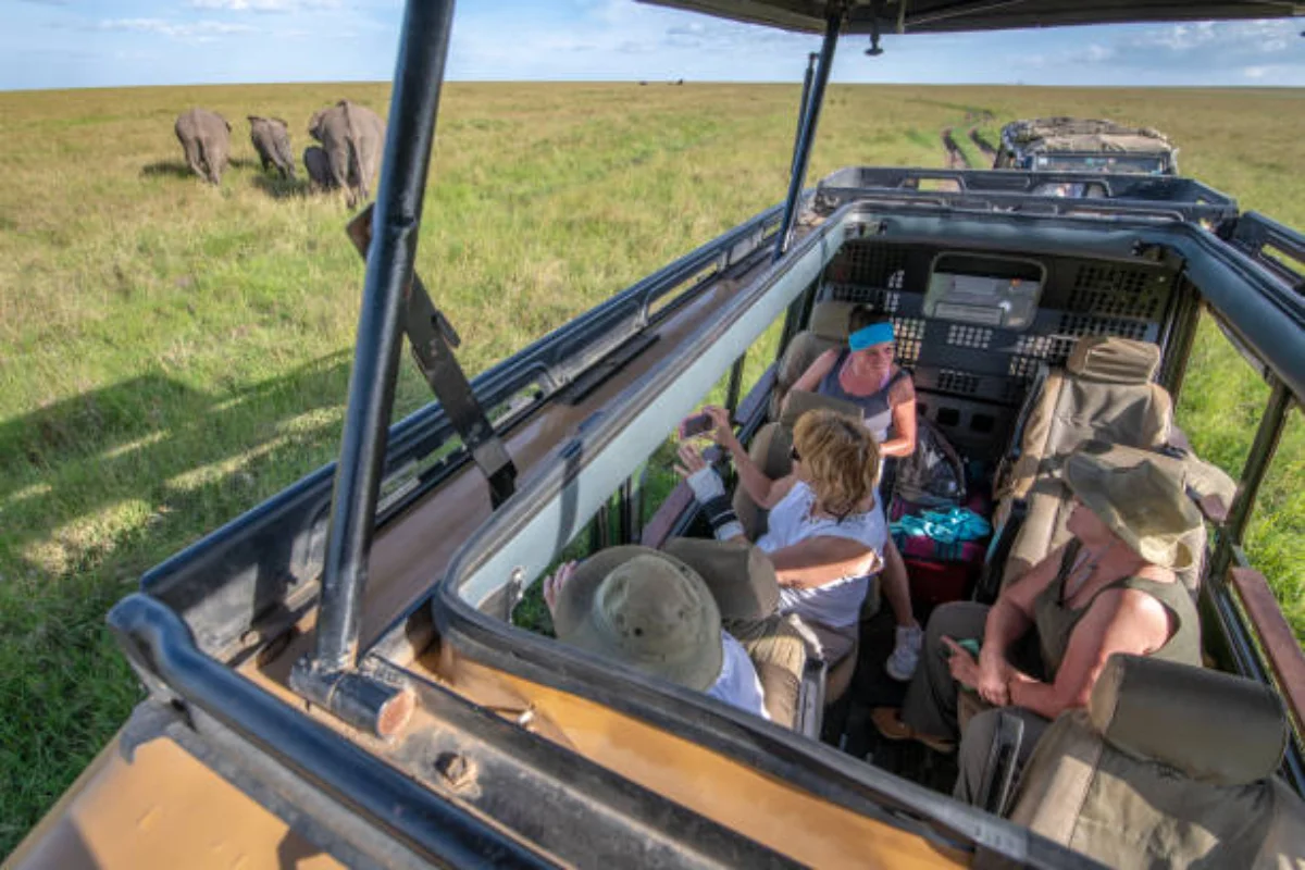 Private pop-up roof 4x4 safari vehicle tracking predators during a morning game drive in Masai Mara.