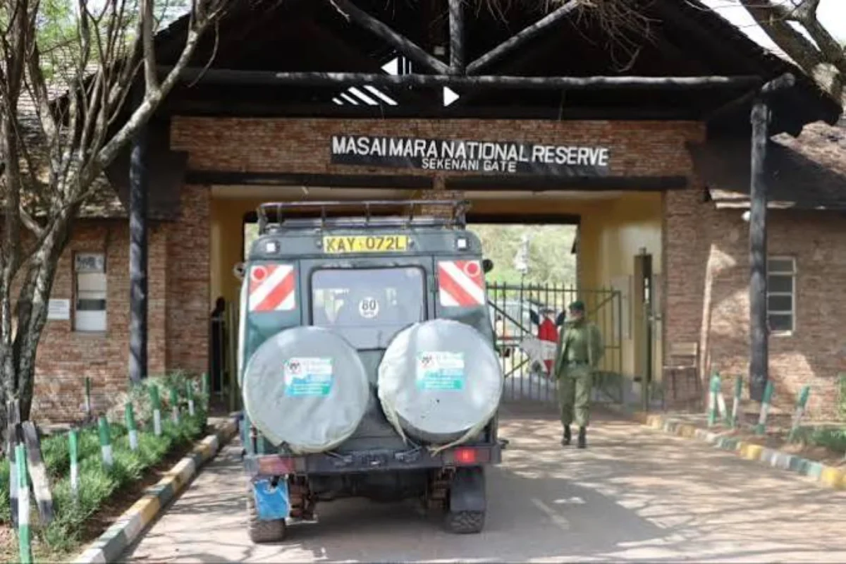 Safari vehicle at Sekenani Gate entrance to Masai Mara where park fees drop to US$100 per adult in January